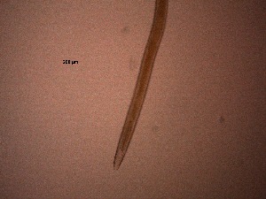  ( - 1X27A12)  @11 [ ] by_nc_nd (2012) Unspecified Ghent University