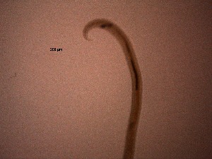 ( - 1X27A12)  @11 [ ] by_nc_nd (2012) Unspecified Ghent University