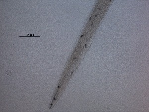  ( - 6C9B12)  @11 [ ] by_nc_nd (2012) Unspecified Ghent University
