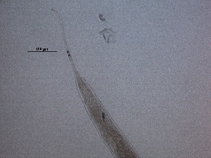  ( - 6C9B12)  @11 [ ] by_nc_nd (2012) Unspecified Ghent University