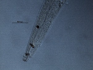 ( - 6C9B12)  @11 [ ] by_nc_nd (2012) Unspecified Ghent University