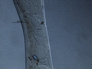  ( - 6C9B12)  @11 [ ] by_nc_nd (2012) Unspecified Ghent University