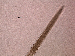  ( - 6X26A12)  @11 [ ] by_nc_nd (2012) Unspecified Ghent University