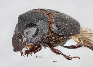  ( - SPEC#3782)  @11 [ ] CreativeCommons  Attribution Non-Commercial Share-Alike  (2024) Unspecified Princeton University