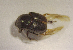  ( - SPEC#0437)  @11 [ ] CreativeCommons  Attribution Non-Commercial Share-Alike  (2024) Unspecified Princeton University