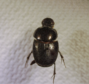  ( - SPEC#2725)  @11 [ ] CreativeCommons  Attribution Non-Commercial Share-Alike  (2024) Unspecified Princeton University