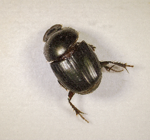  ( - SPEC#2796)  @11 [ ] CreativeCommons  Attribution Non-Commercial Share-Alike  (2024) Unspecified Princeton University