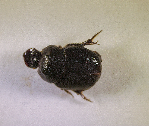  ( - SPEC#4224)  @11 [ ] CreativeCommons  Attribution Non-Commercial Share-Alike  (2024) Unspecified Princeton University