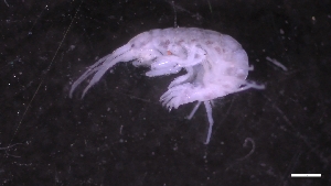  ( - M17-M4E-A90)  @11 [ ] C (2020) Unspecified Biologica Environmental Services