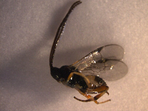  ( - Micro0061)  @12 [ ] Unspecified (default): All Rights Reserved  Unspecified Unspecified