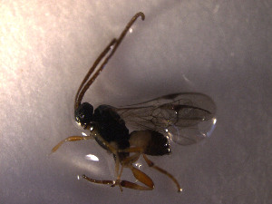  ( - Micro0065)  @12 [ ] Unspecified (default): All Rights Reserved  Unspecified Unspecified