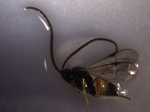  ( - Micro0066)  @12 [ ] Unspecified (default): All Rights Reserved  Unspecified Unspecified