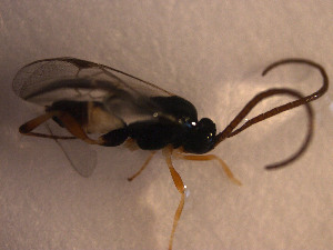  ( - Micro0068)  @12 [ ] Unspecified (default): All Rights Reserved  Unspecified Unspecified
