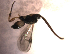  ( - Micro0103)  @12 [ ] Unspecified (default): All Rights Reserved  Unspecified Unspecified