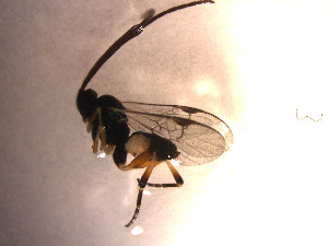  ( - Micro0104)  @12 [ ] Unspecified (default): All Rights Reserved  Unspecified Unspecified