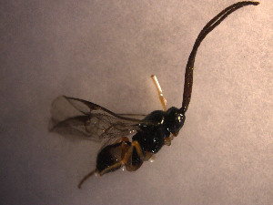  ( - Micro0111)  @12 [ ] Unspecified (default): All Rights Reserved  Unspecified Unspecified