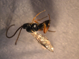  ( - Micro0112)  @12 [ ] Unspecified (default): All Rights Reserved  Unspecified Unspecified