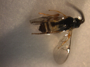  ( - Micro0187)  @12 [ ] Unspecified (default): All Rights Reserved  Unspecified Unspecified