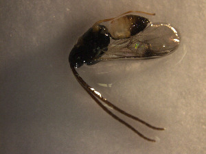  ( - Micro0221)  @12 [ ] Unspecified (default): All Rights Reserved  Unspecified Unspecified