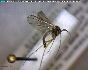  ( - FinMyc221)  @12 [ ] Unspecified (default): All Rights Reserved (2011) Unspecified NHMO