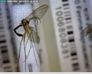  ( - FinMyc226)  @12 [ ] Unspecified (default): All Rights Reserved (2011) Unspecified NHMO