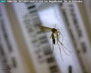  ( - FinMyc268)  @12 [ ] Unspecified (default): All Rights Reserved (2011) Unspecified NHMO