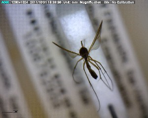  ( - FinMyc276)  @12 [ ] Unspecified (default): All Rights Reserved (2011) Unspecified NHMO