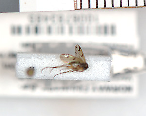  ( - FinMyc304)  @12 [ ] Unspecified (default): All Rights Reserved (2011) Unspecified NHMO