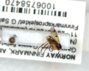  ( - FinMyc322)  @12 [ ] Unspecified (default): All Rights Reserved (2011) Unspecified NHMO