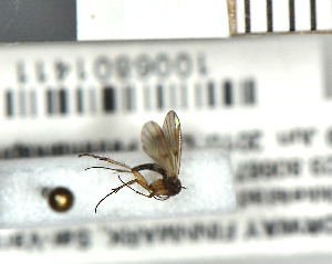  ( - FinMyc324)  @12 [ ] Unspecified (default): All Rights Reserved (2011) Unspecified NHMO