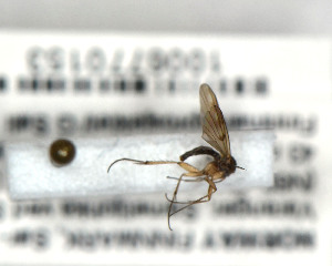  ( - FinMyc326)  @12 [ ] Unspecified (default): All Rights Reserved (2011) Unspecified NHMO