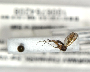  ( - FinMyc328)  @12 [ ] Unspecified (default): All Rights Reserved (2011) Unspecified NHMO
