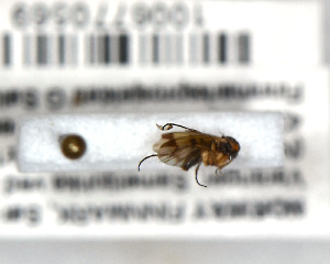 ( - FinMyc329)  @12 [ ] Unspecified (default): All Rights Reserved (2011) Unspecified NHMO
