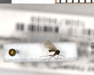  ( - FinMyc354)  @11 [ ] Unspecified (default): All Rights Reserved (2011) Unspecified NHMO