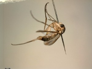  ( - FinMyc424)  @12 [ ] Unspecified (default): All Rights Reserved (2012) Unspecified NHMO