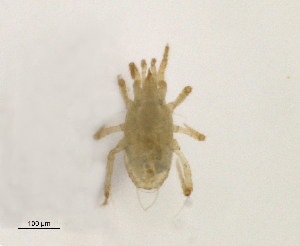  ( - BIOUG10943-A10)  @12 [ ] CreativeCommons - Attribution (2014) Centre for Biodiversity Genomics Centre for Biodiversity Genomics