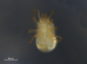  ( - BIOUG10944-A10)  @12 [ ] CreativeCommons - Attribution (2014) Centre for Biodiversity Genomics Centre for Biodiversity Genomics