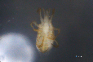 ( - BIOUG10944-A11)  @11 [ ] CreativeCommons - Attribution (2014) Centre for Biodiversity Genomics Centre for Biodiversity Genomics