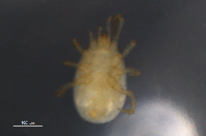  ( - BIOUG10944-C09)  @11 [ ] CreativeCommons - Attribution (2014) Centre for Biodiversity Genomics Centre for Biodiversity Genomics