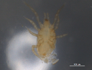  ( - BIOUG10944-C11)  @12 [ ] CreativeCommons - Attribution (2014) Centre for Biodiversity Genomics Centre for Biodiversity Genomics