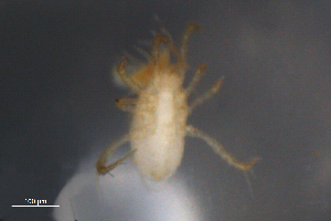  ( - BIOUG10944-E08)  @12 [ ] CreativeCommons - Attribution (2014) Centre for Biodiversity Genomics Centre for Biodiversity Genomics