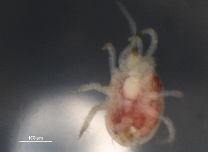  ( - BIOUG10944-E11)  @14 [ ] CreativeCommons - Attribution (2014) Centre for Biodiversity Genomics Centre for Biodiversity Genomics