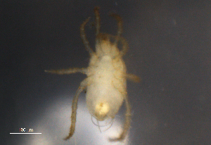  ( - BIOUG10944-H04)  @12 [ ] CreativeCommons - Attribution (2014) Centre for Biodiversity Genomics Centre for Biodiversity Genomics
