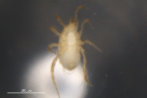  ( - BIOUG10944-H05)  @12 [ ] CreativeCommons - Attribution (2014) Centre for Biodiversity Genomics Centre for Biodiversity Genomics