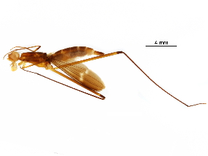  ( - Sample-demo01)  @11 [ ] CreativeCommons - Attribution (2018) CBG Photography Group Centre for Biodiversity Genomics