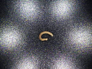  ( - JB_W_0035)  @11 [ ] CreativeCommons Attribution NonCommercial ShareAlike (2021) (2021) University of Lodz University of Lodz