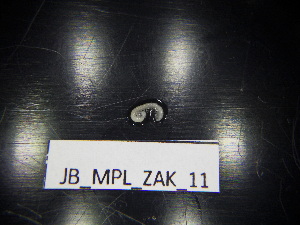  ( - JB_MPL_ZAK_11)  @11 [ ] CreativeCommons - Attribution Non-Commercial Share-Alike (2025) Unspecified University of Lodz, Department of Invertebrate Zoology and Hydrobiology