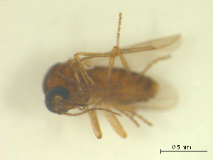  ( - BIOUG02452-A06)  @11 [ ] CreativeCommons - Attribution (2012) CBG Photography Group Centre for Biodiversity Genomics