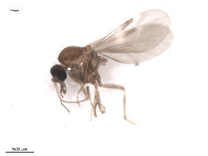  ( - BIOUG02454-C02)  @12 [ ] CreativeCommons - Attribution (2012) CBG Photography Group Centre for Biodiversity Genomics