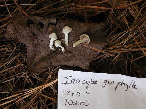  ( - dfmo0014)  @11 [ ] by-nc (2000) Unspecified Duke University
